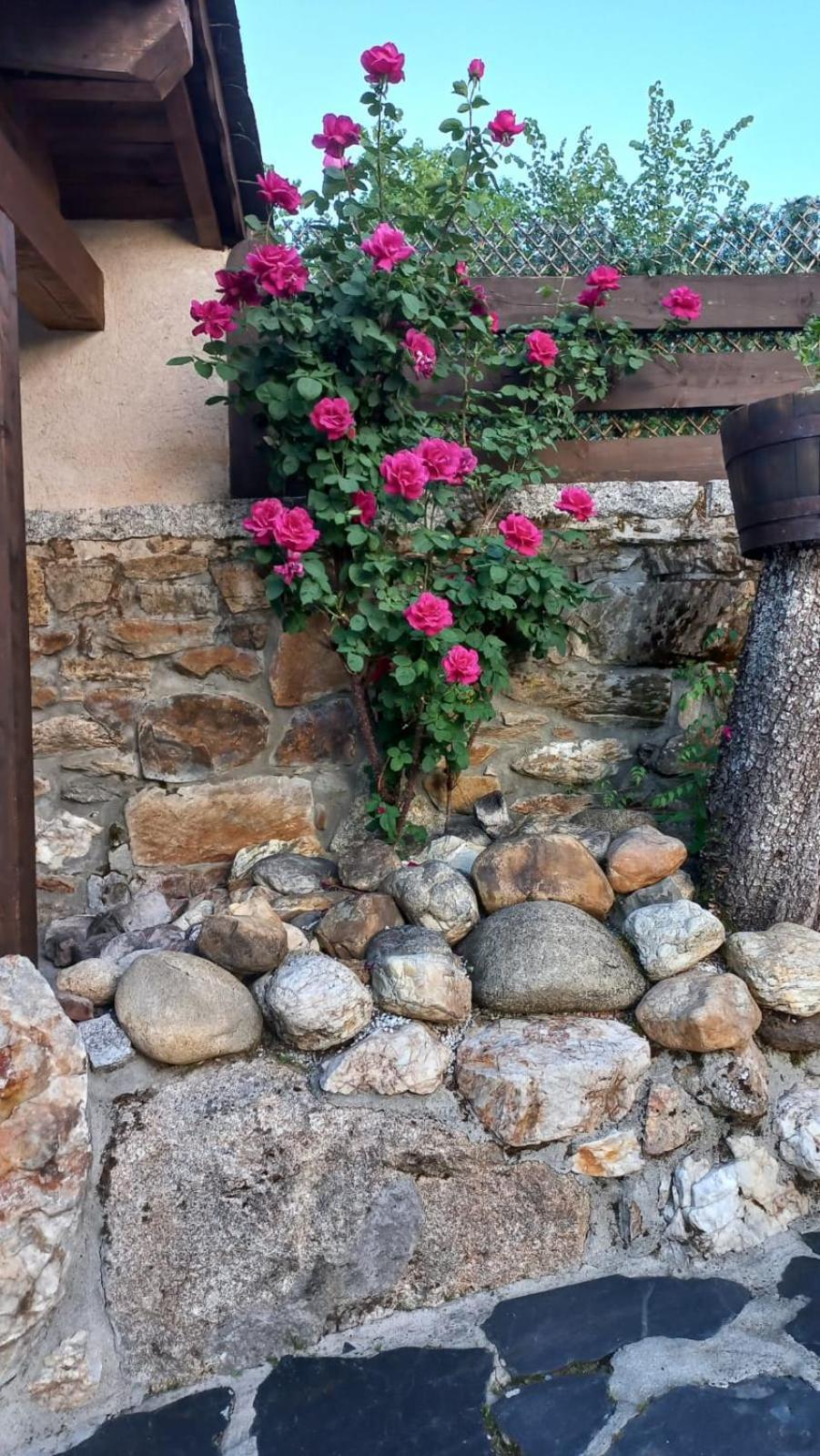 Casa Del Cura Vendégház Rozas Kültér fotó